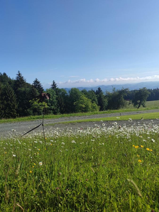 Die Hube Leutschach Buitenkant foto